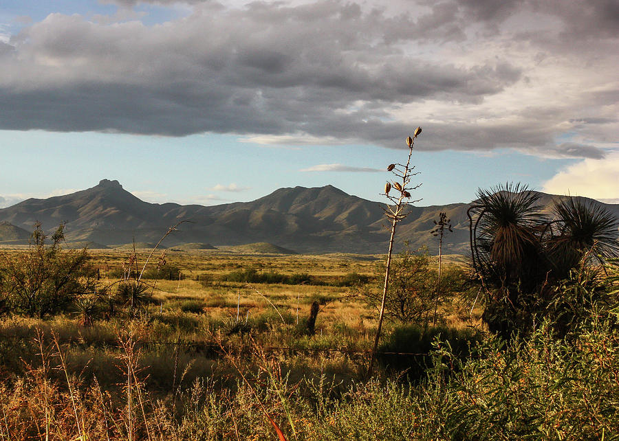 Dos Cabezas Grasslands at Dusk Photograph by Lon Dittrick Dos Cabezas Grasslands at Dusk Photograph by Lon Dittrick