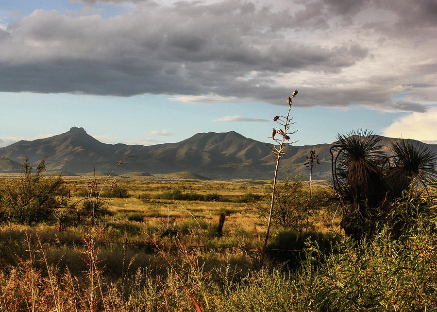 Dos Cabezas Grasslands at Dusk Photograph by Lon Dittrick