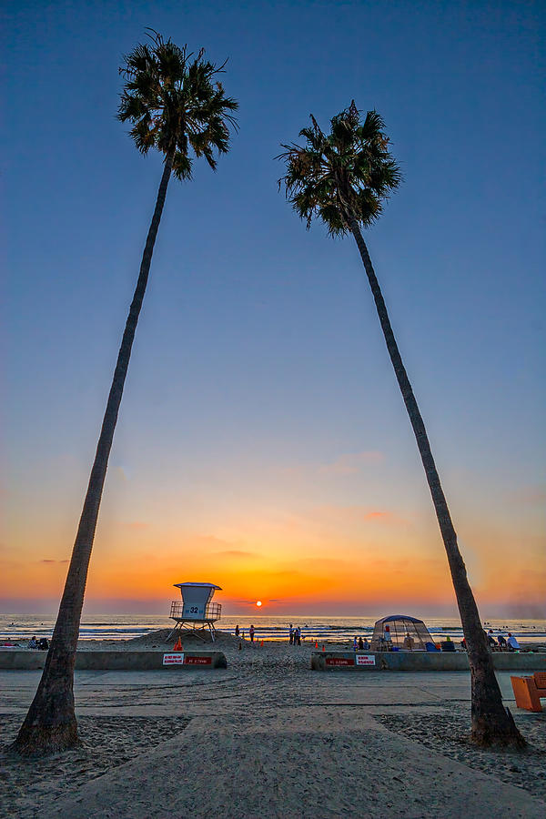 Dos Palms Photograph by Peter Tellone