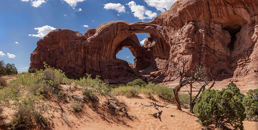 Double Arch Arches National Park Gigapan Photograph by John McGraw