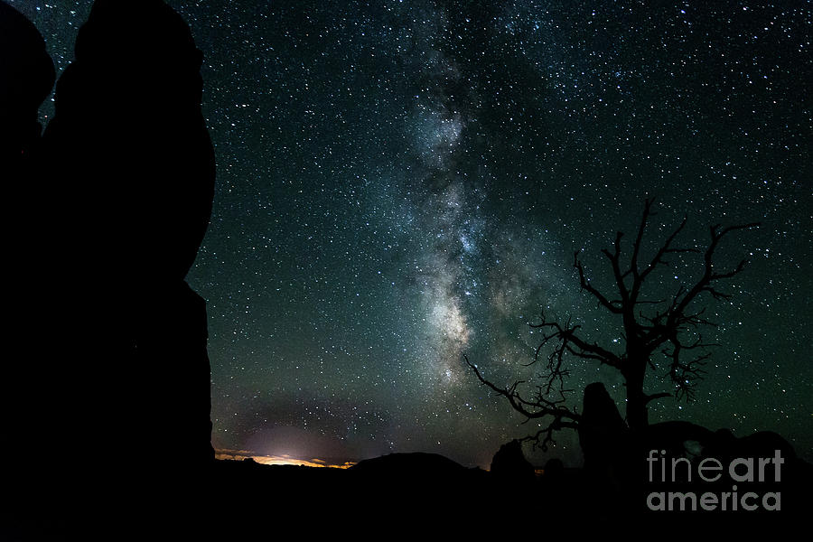 National Parks Photograph - Double Arches with Lone Tree Silhouette Under the Milky Way. by Jon Ma