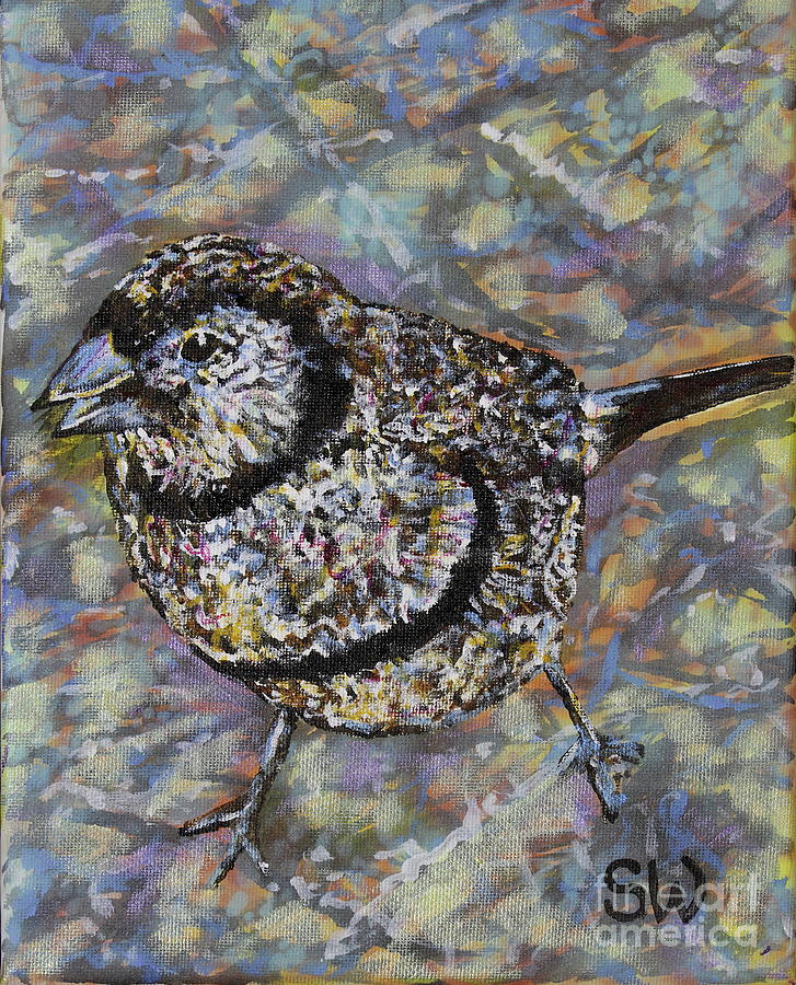 Bird Painting - Double-barred Finch by Susan Willemse