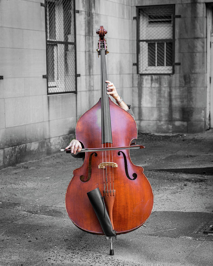 Double Bass Photograph by Glenn Woodell