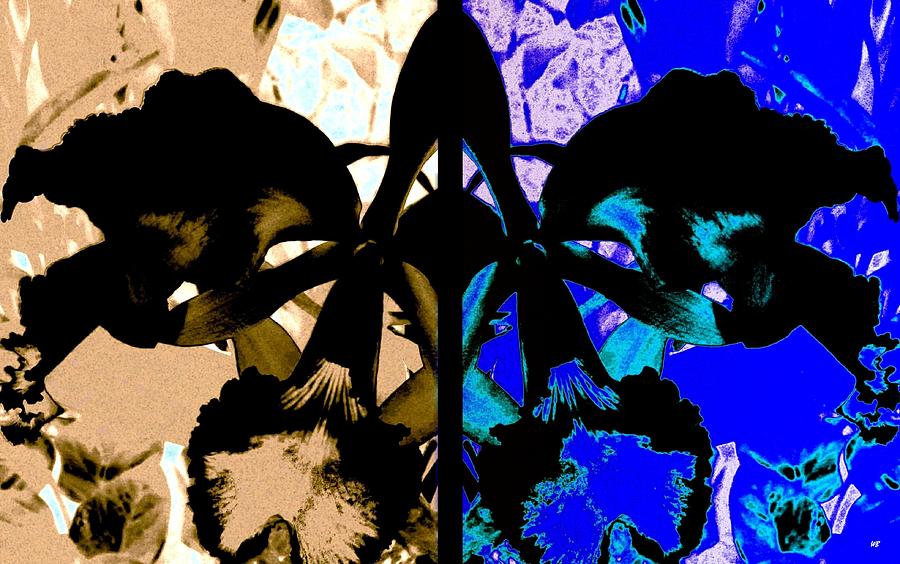 Double Black Orchid Digital Art by Will Borden