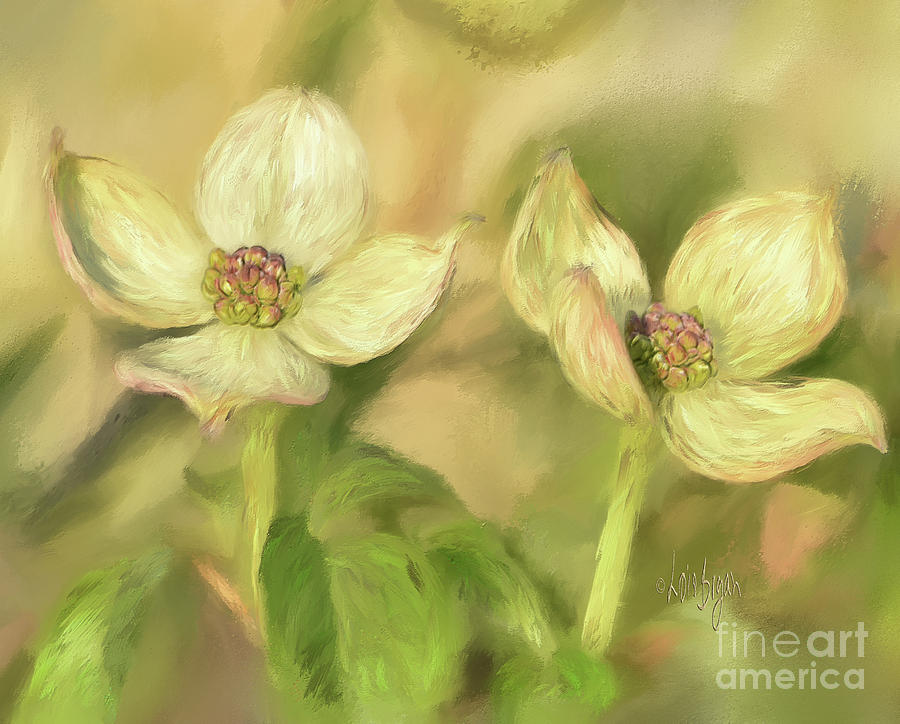 Double Dogwood Blossoms In Evening Light Digital Art by Lois Bryan