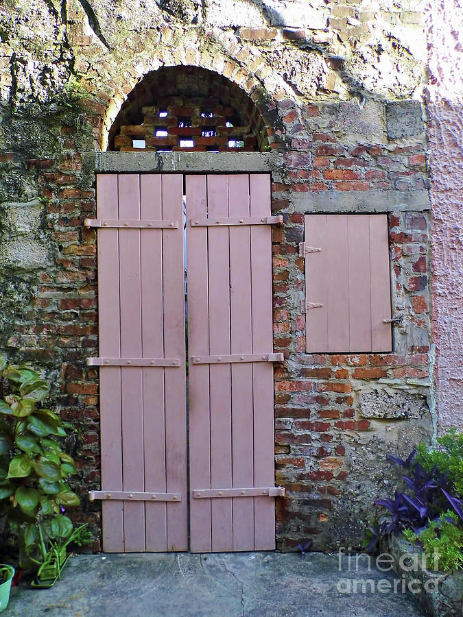 Double Doors And A Window Photograph by D Hackett