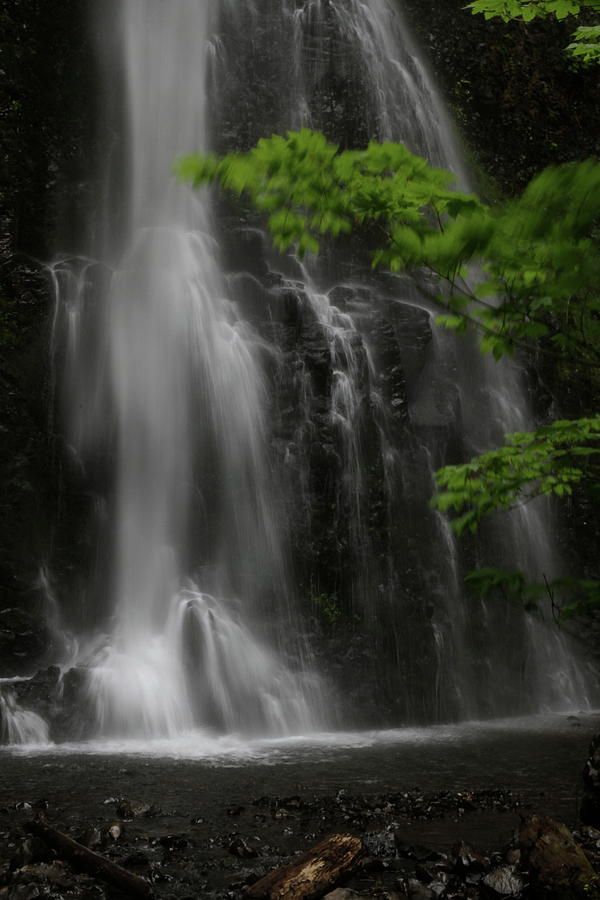 Double Falls Photograph by Laddie Halupa