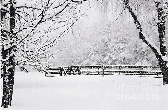 Double Gate in Winter Photograph by Linda Drown