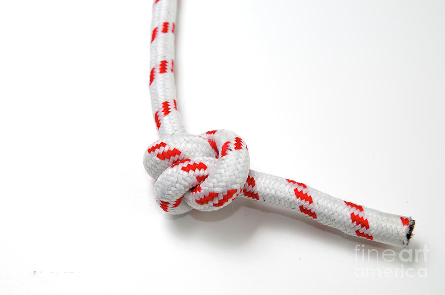 Double overhand knot Photograph by Ilan Rosen