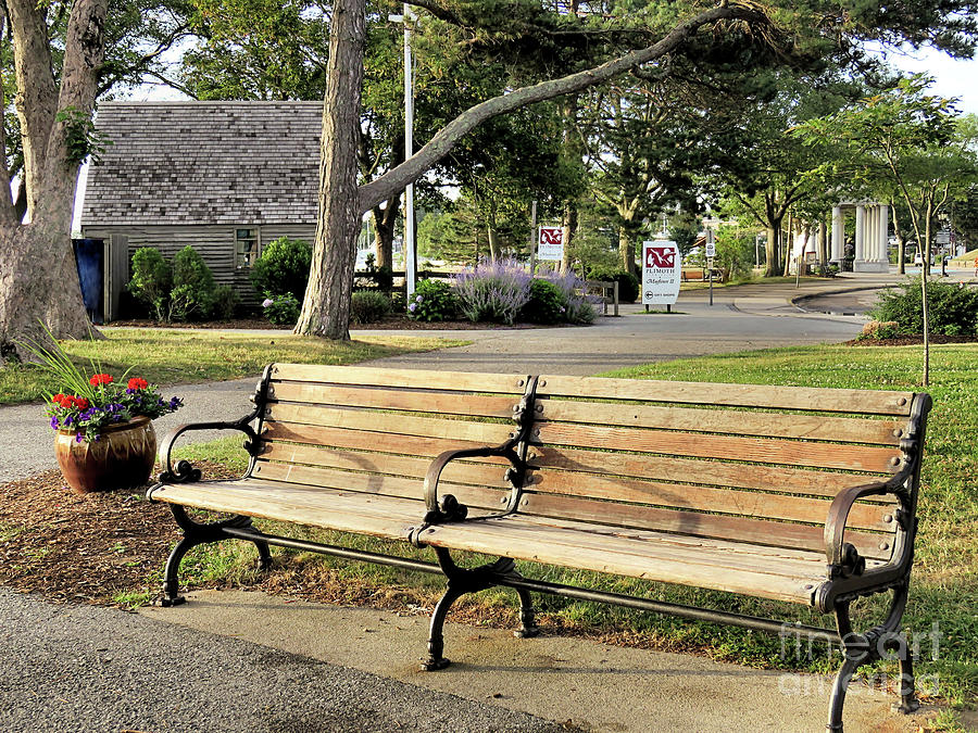 Double Park Bench Photograph by Janice Drew