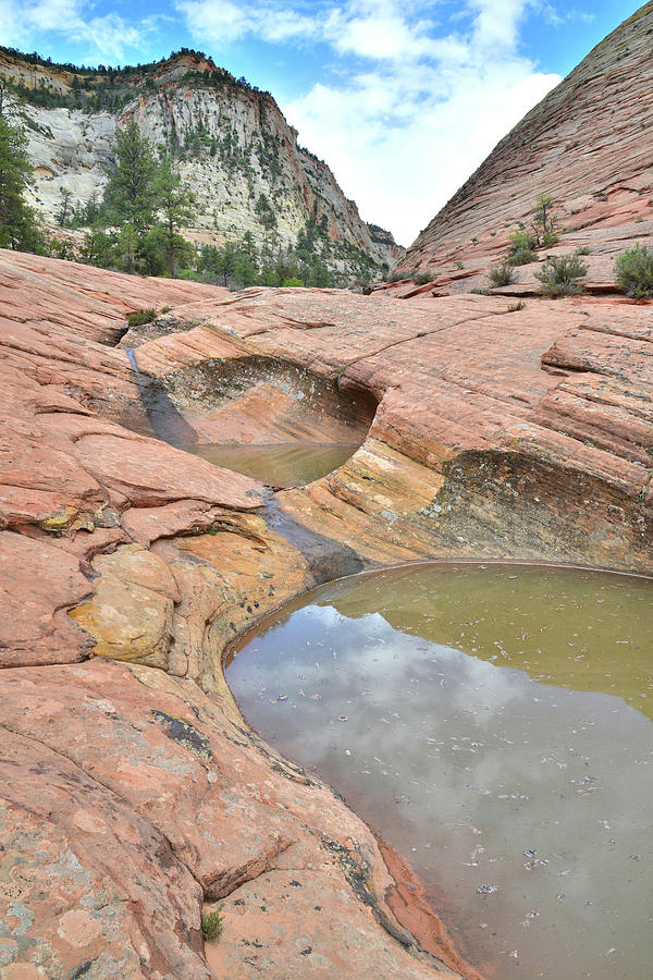 Double Pool in Zion Photograph by Ray Mathis