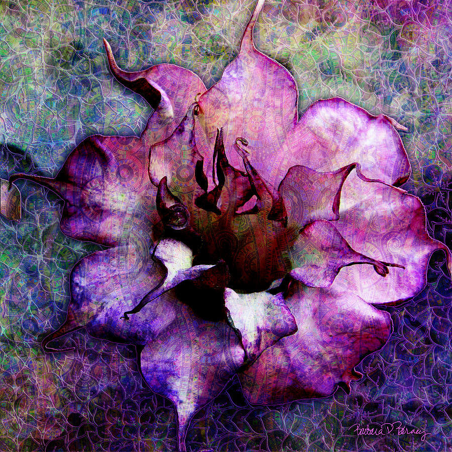 Double Purple Datura Digital Art by Barbara Berney