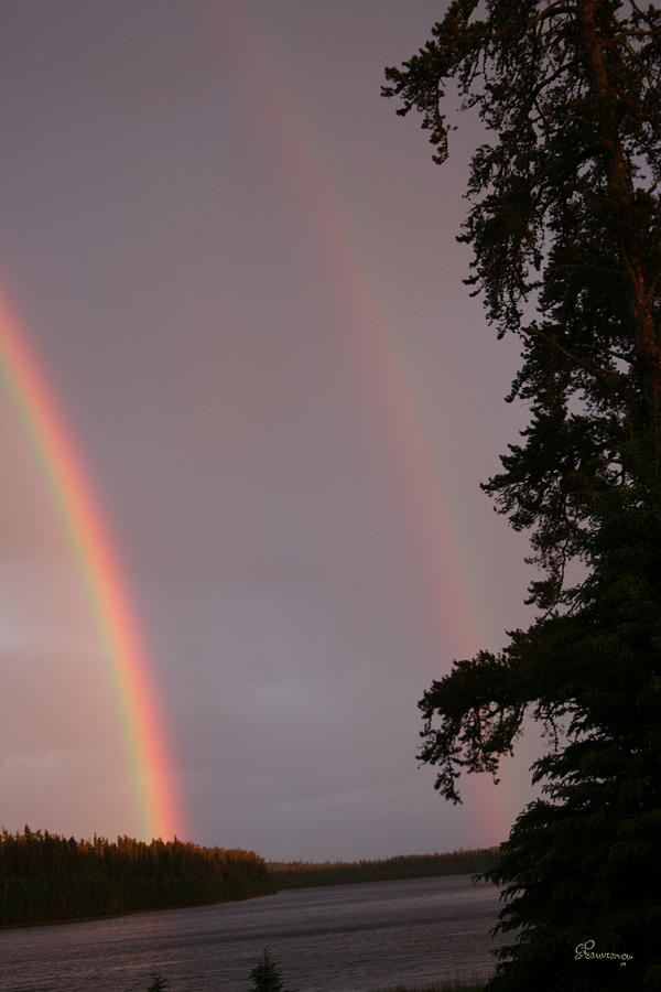 Double Rainbow Photograph by Andrea Lawrence