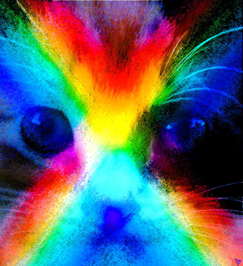 Double Rainbow Cat Painting by David Lee Thompson