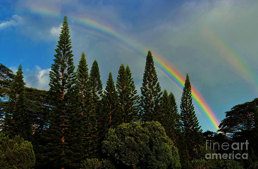 Double Rainbow Photograph by Craig Wood