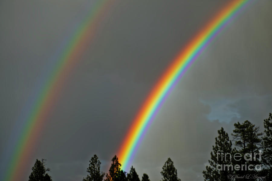 Double Rainbow Photograph by David Arment