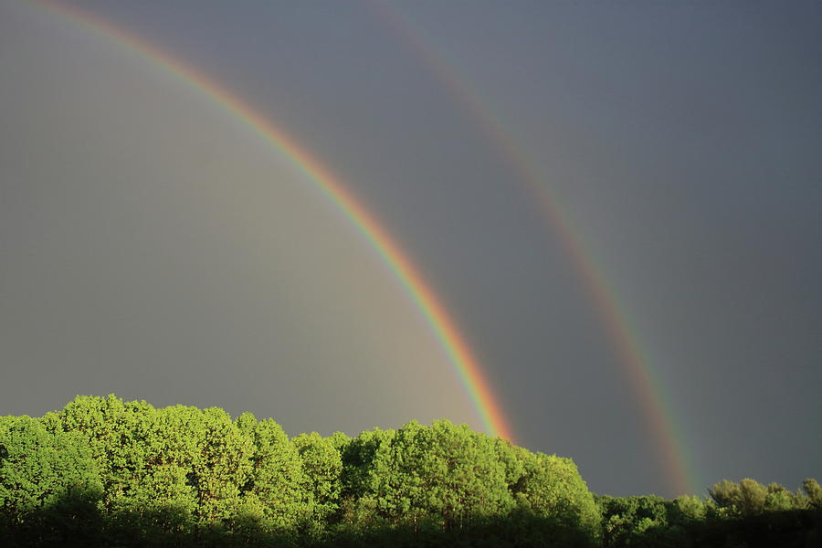 Double Rainbow Photograph by John Burk