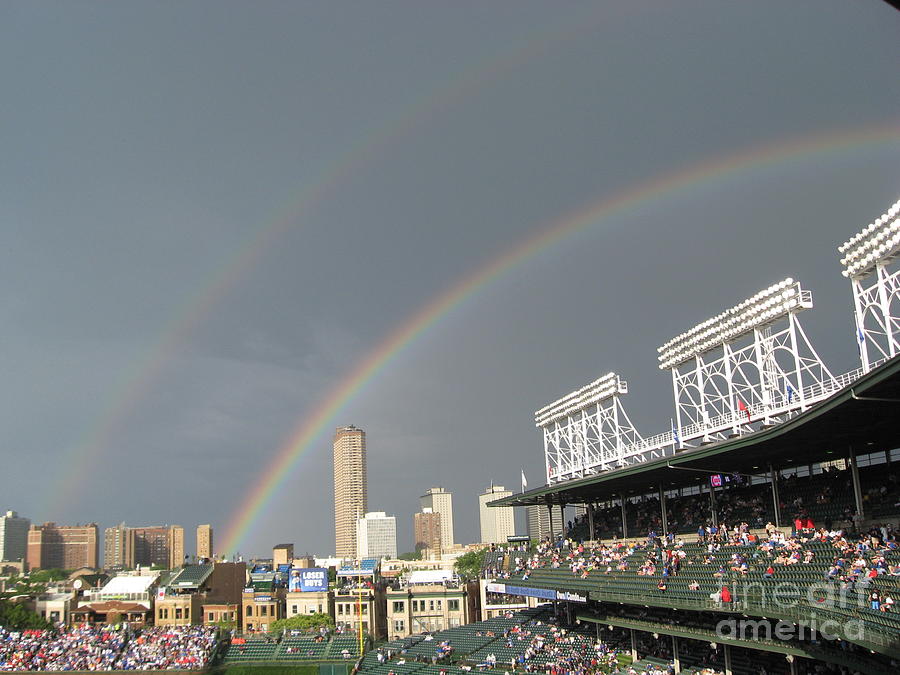 Rainbow Cubs 