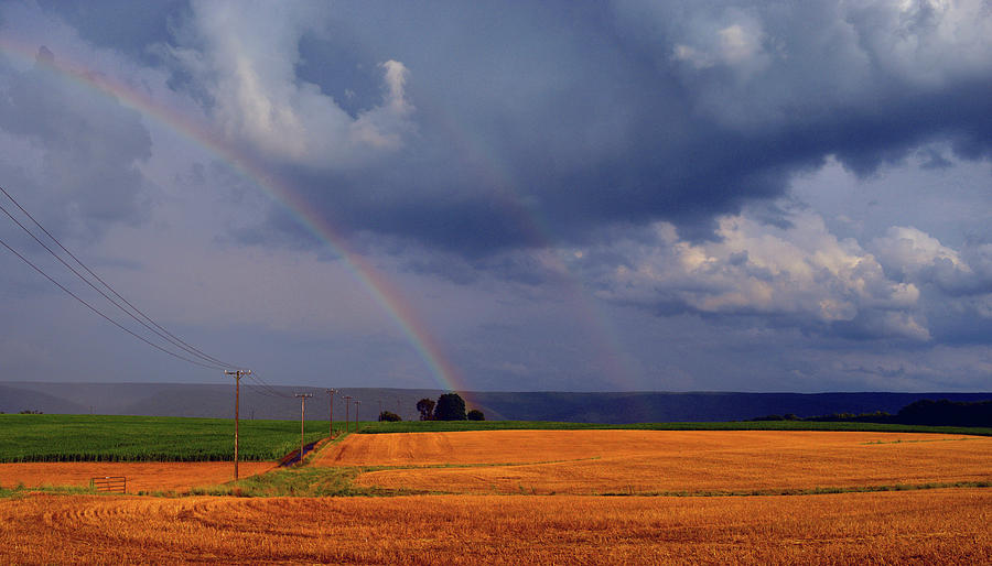 Landscape Photograph - Double Rainbow by Pat Turner