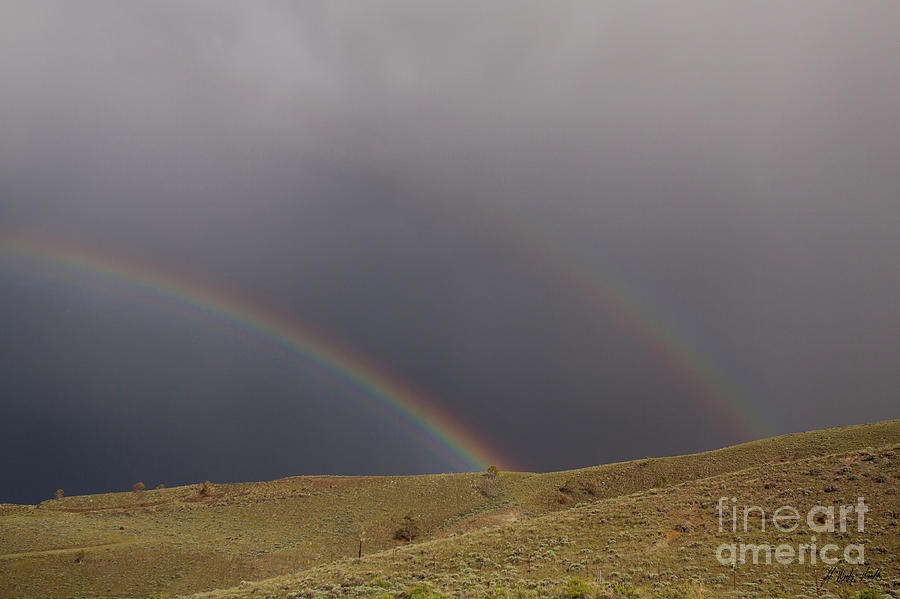 Double Rainbow-Signed-#8234 Photograph by J L Woody Wooden