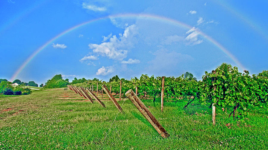 Double Rainbow Vineyard, Smith Mountain Lake Photograph by The James Roney Collection