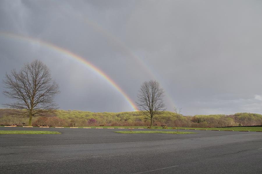 Double Rainbow With Tree At End Photograph