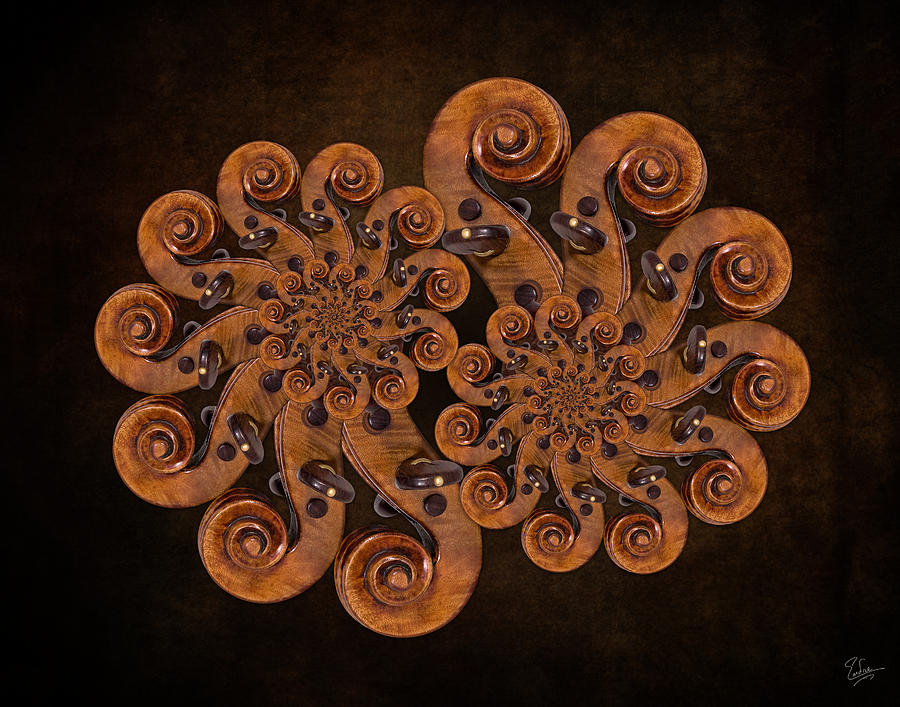 Double Stradivarius Scroll Spirals Photograph by Endre Balogh