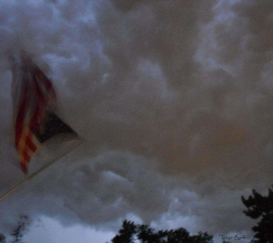 Tree Photograph - Double Tipped Storm Flag by Ginger Repke