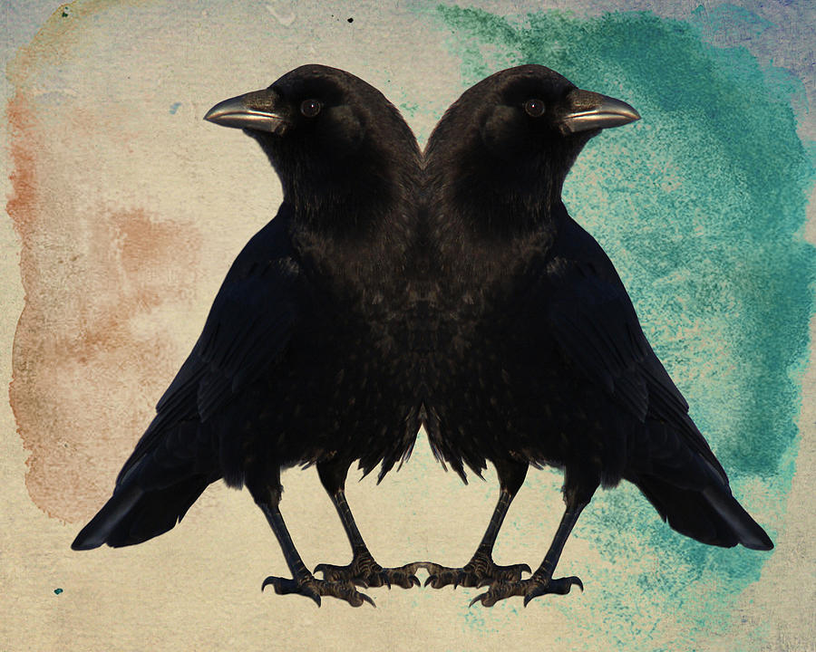 Bird Mixed Media - Twin Beaks by Gothicrow Images