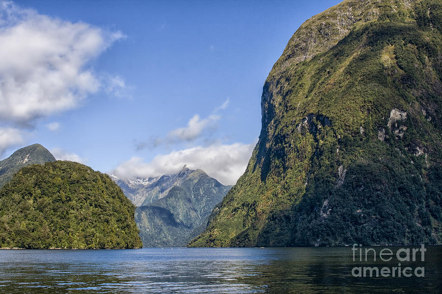 Doubtful Sound Photograph by Patricia Hofmeester