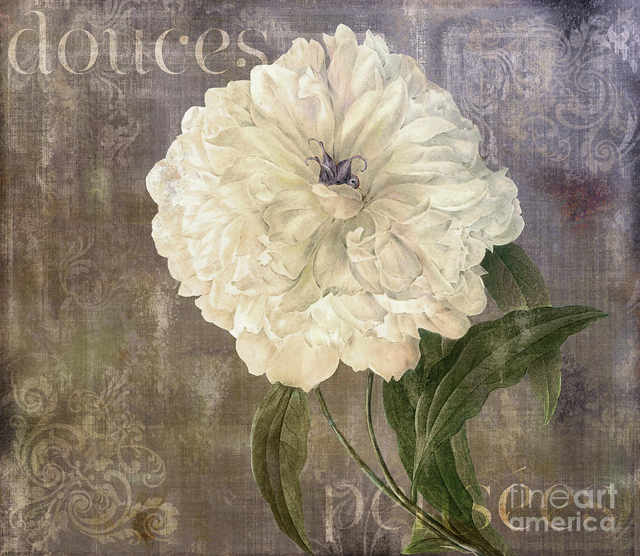 Douces Pensees White Peony Painting by Mindy Sommers