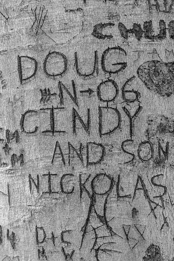 Doug and Cindy Photograph by Tom Mc Nemar