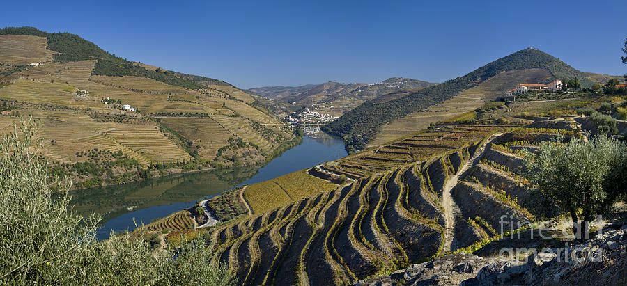 Douro panoramic Photograph by Mikehoward Photography