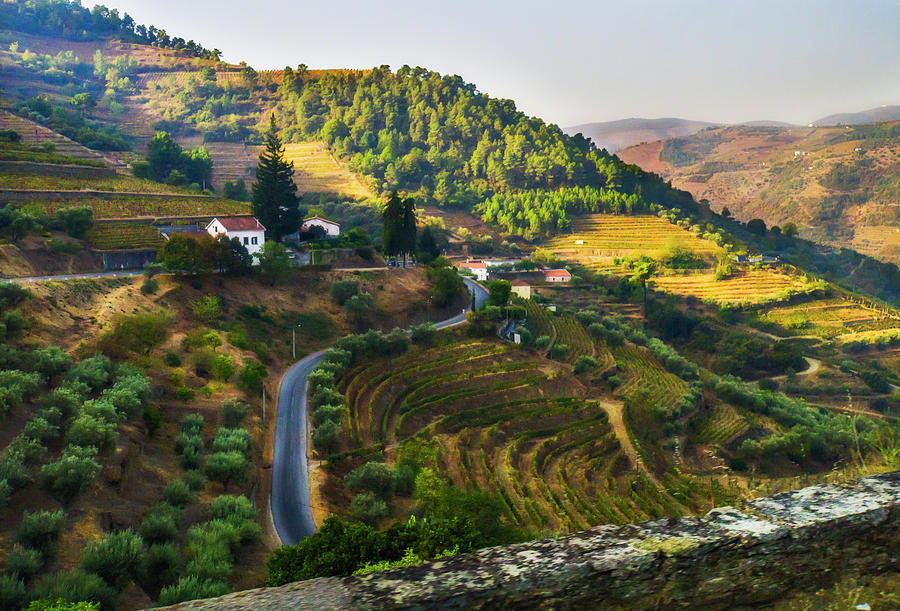 Douro Valley Landscape Photograph by Alan Toepfer