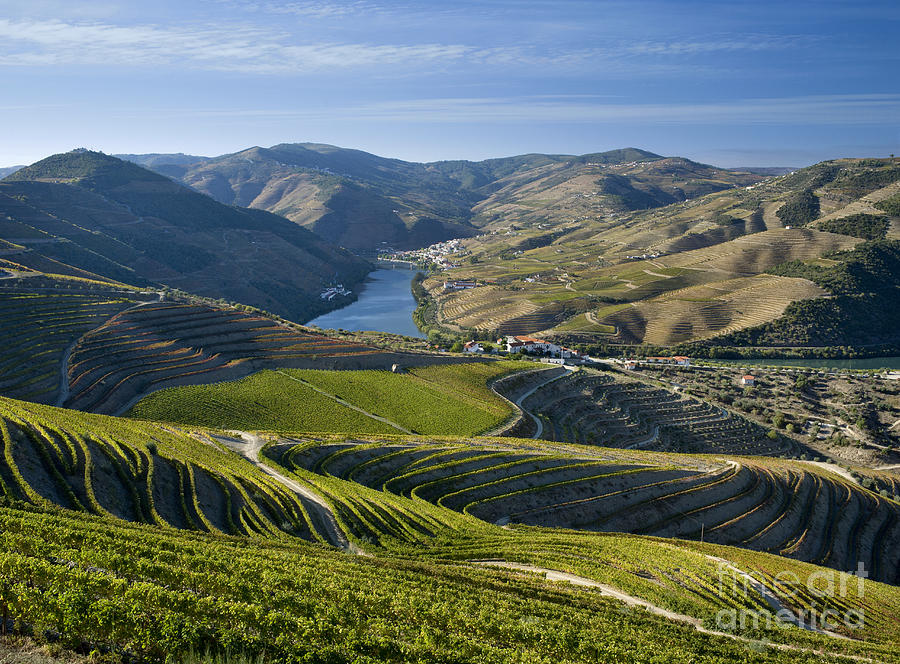 Douro valley Pinhao vineyards Photograph by Mikehoward Photography