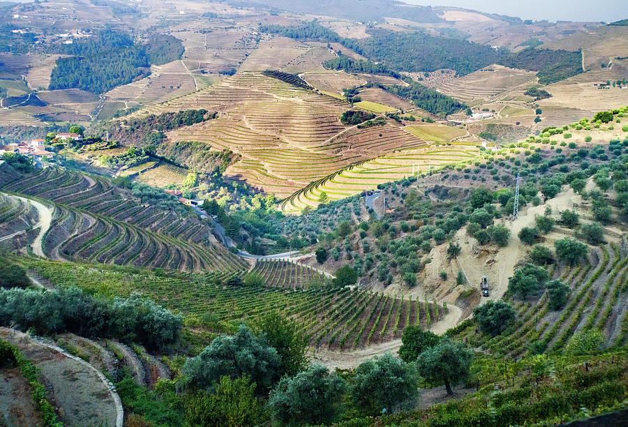 Douro Valley Vineyards Photograph by Alan Toepfer