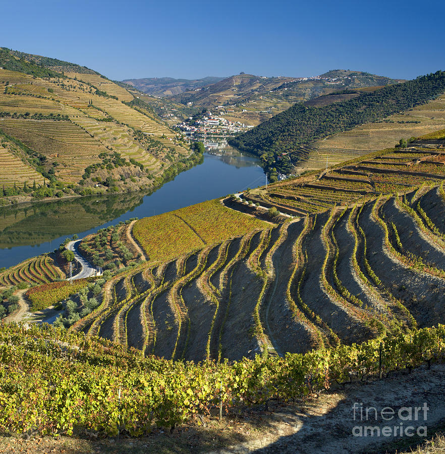 Douro Valley vineyards Photograph by Mikehoward Photography