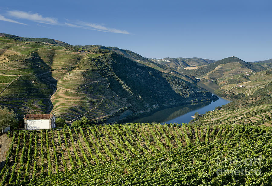 Douro vineyard chapel Photograph by Mikehoward Photography