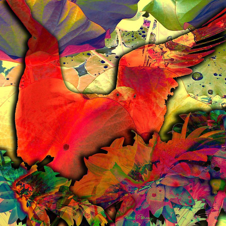 Dove Digital Art by Barbara Berney