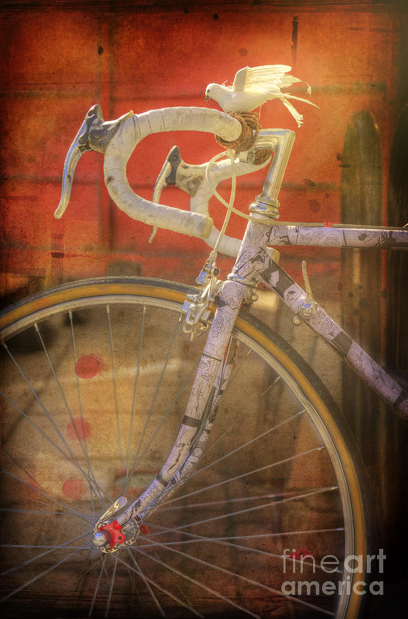 Dove Bicycle Photograph by Craig J Satterlee