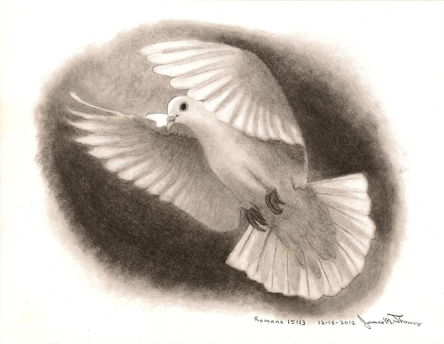 dove drawings images