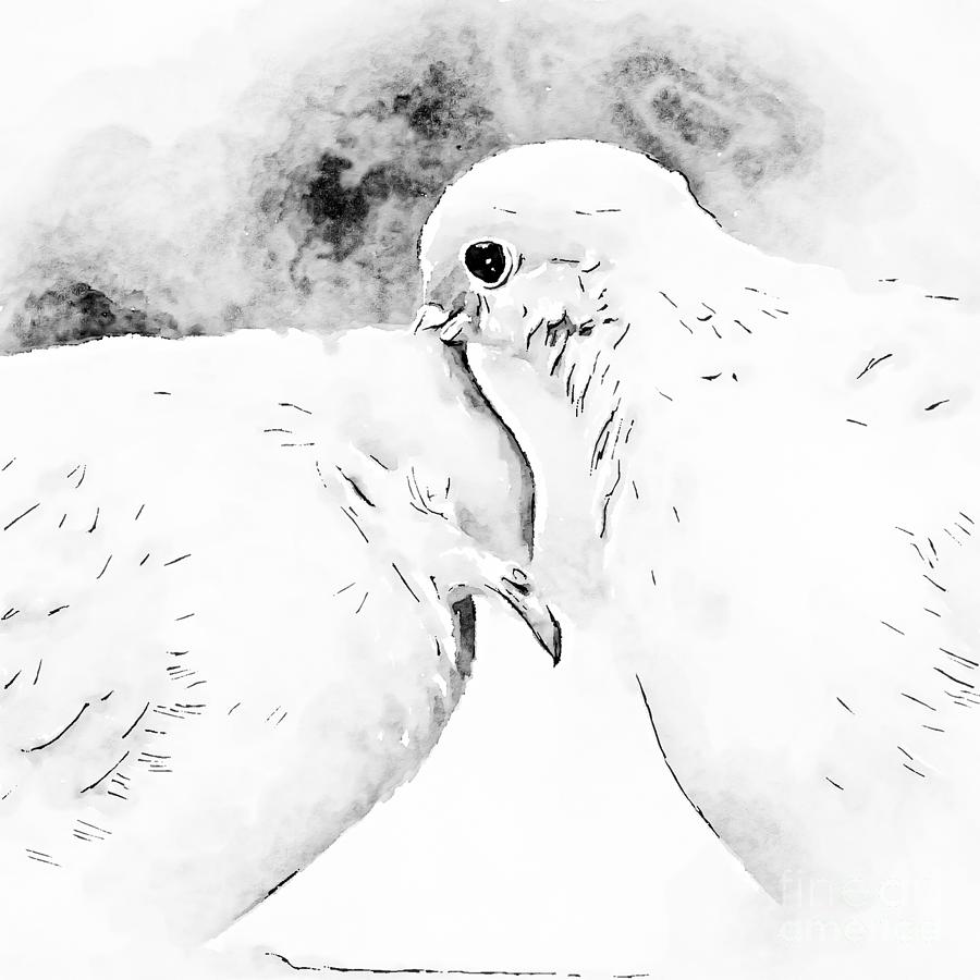Dove Love - Black and White Photograph by Kerri Farley