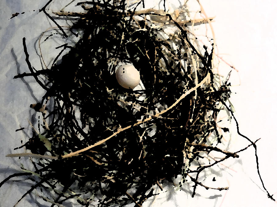 Dove Nest With Egg 2 Digital Art by Eric Forster