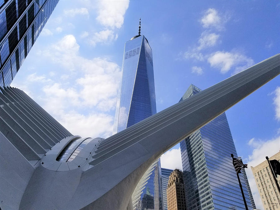 Dove of Peace at One World Trade Center Photograph by Judith Rhue