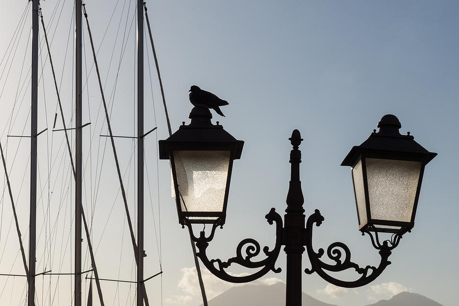 Dove Perch - Quaint Cast Iron Harbor Lights and Boat Masts - Left Photograph by Georgia Mizuleva