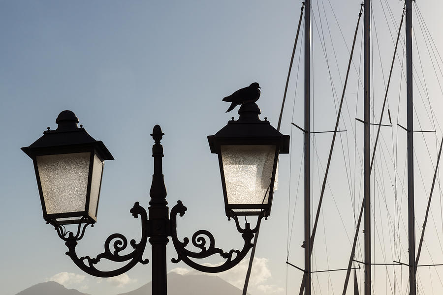 Dove Perch - Quaint Cast Iron Harbor Lights and Boat Masts - Right Photograph by Georgia Mizuleva