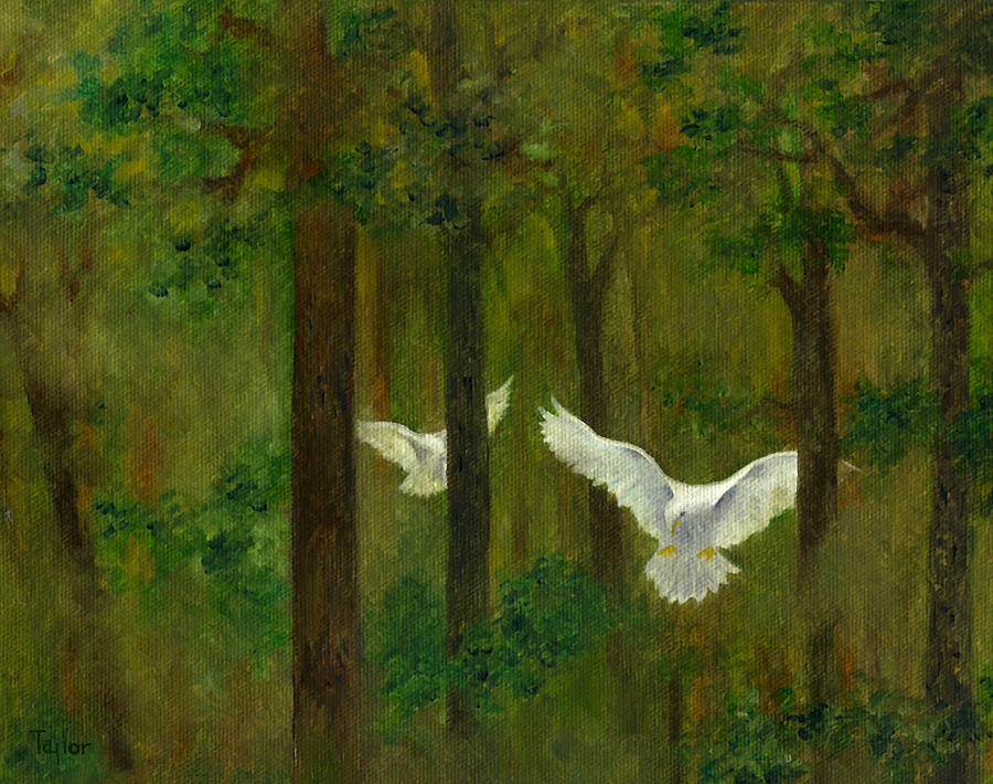 Doves in the Wood Painting by FT McKinstry