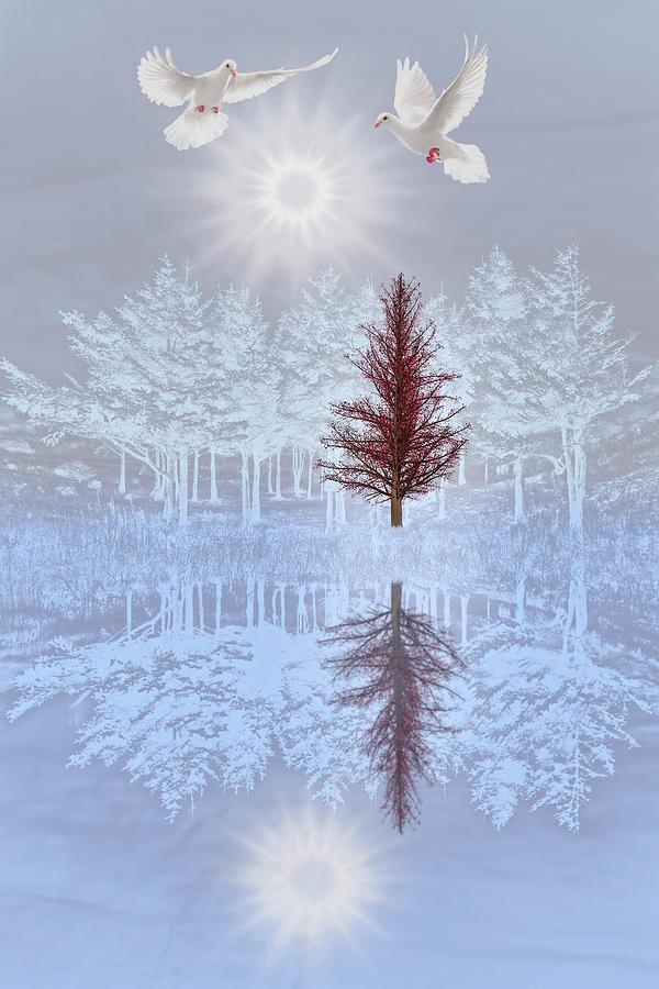 Doves in Winter Digital Art by Debra and Dave Vanderlaan
