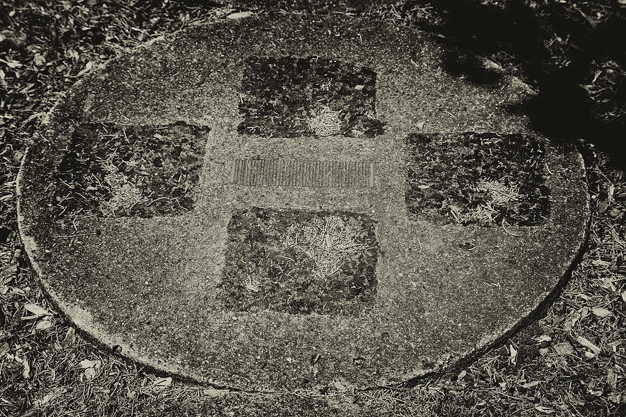 Dow Garden Paving Stone BW Photograph by Mary Bedy