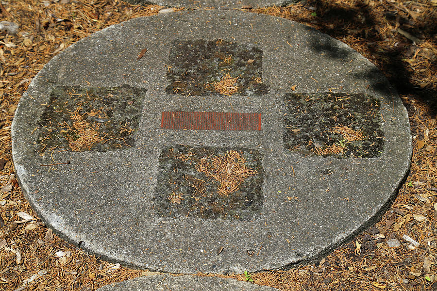 Dow Garden Paving Stone Photograph by Mary Bedy